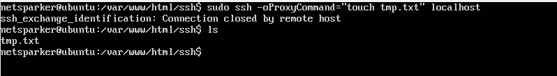 The -oProxyCommand in the Exploit